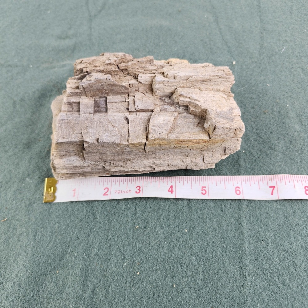 Petrified Wood Specimen 6"x3.5"x2.5" - Picture 6 of 8